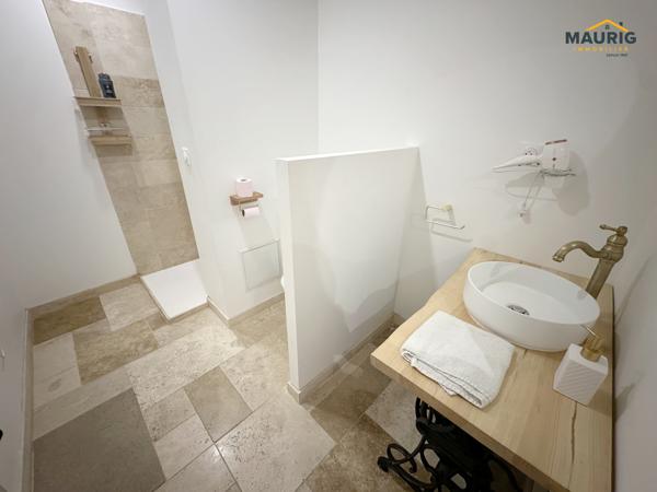 IMMEUBLE de rapport meublé - 2 appartements- TOMBEBOEUF