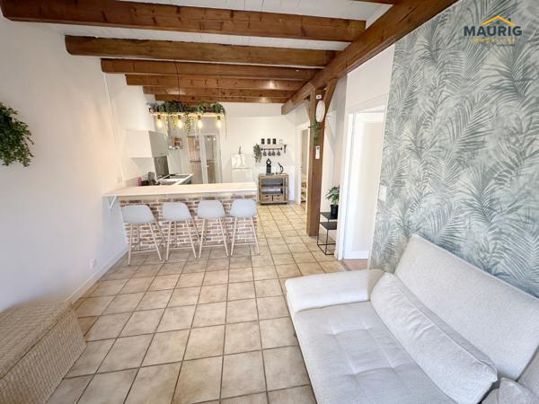 IMMEUBLE de rapport meublé - 2 appartements- TOMBEBOEUF
