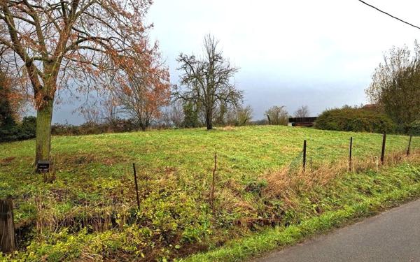 Terrain à vendre    Mons-en-Pévèle