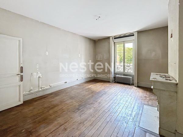 Appartement T4 a vendre quartier Champanatier - appartement de caractere avec jardin arbore -
