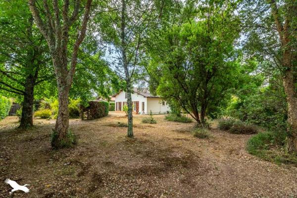 Maison à vendre 379 954 € Vielle-Saint-Girons 4 p 104 m² DPE E