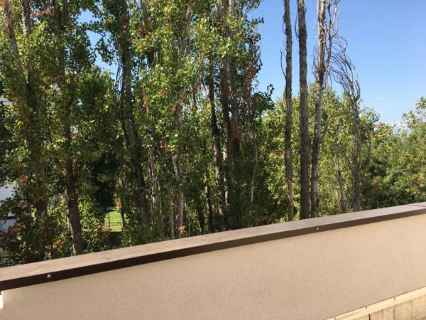 Dpt Hérault (34), à louer MONTPELLIER appartement T3 d'envieon 58 m² avec terrase de 12 m²