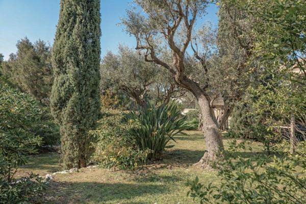 Carqueiranne (83320) Carqueiranne – Propriété avec accès direct à la mer, sur une plage sauvage, au cœur d’un environnement préserv