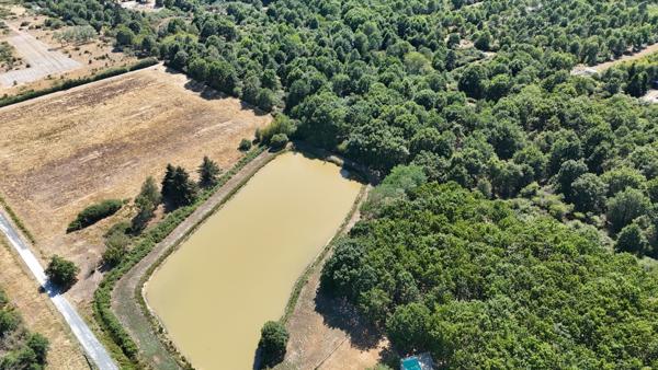 Vente Maison de luxe La Ferté-Saint-Aubin 13 Pièces 349 m²