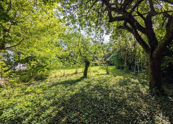 Terrain à vendre    Gouvernes