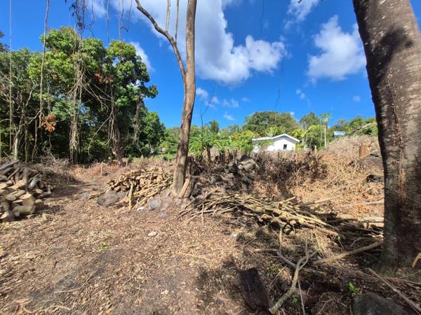 Pointe-Noire (97116) TERRAIN A VENDRE POINTE NOIRE SECTION MORHPY