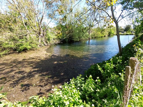 Ancien logis seigneurial fin XIVème siècle, 1.3 hectares de terrain dépendances