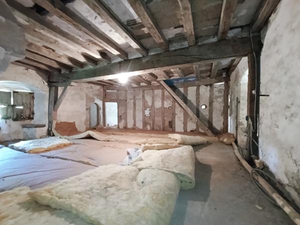 Ancien logis seigneurial fin XIVème siècle, 1.3 hectares de terrain dépendances