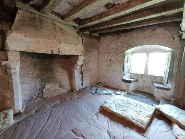 Ancien logis seigneurial fin XIVème siècle, 1.3 hectares de terrain dépendances