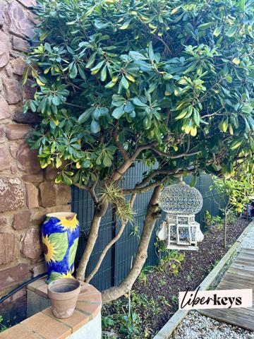 Charmante maison "coup de coeur" de 60 m2 sur son terrain de 207 m2 - Saint-Raphaël