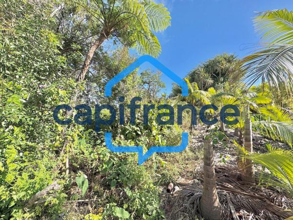 À VENDRE – TERRAIN CONSTRUCTIBLE à Saint-Joseph (97480) de 370m2