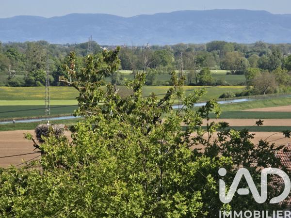 Terrain à vendre 466 m² Waltenheim-sur-Zorn