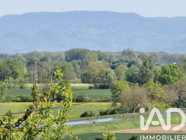 Terrain à vendre 466 m² Waltenheim-sur-Zorn