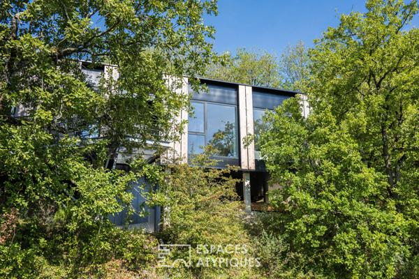 Le coup de coeur dans les arbres