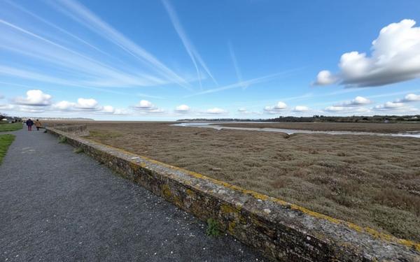 Maison à vendre    5 pièces •  Langueux