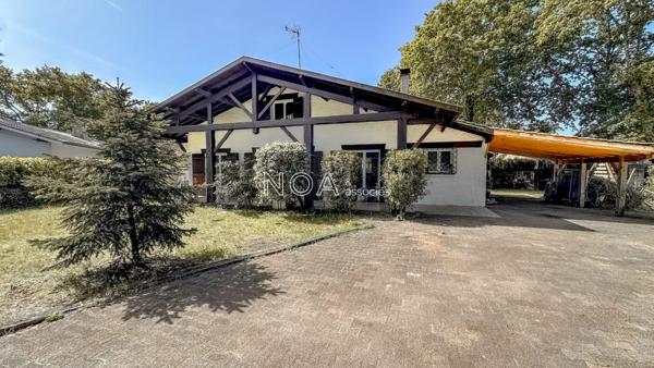 Vaste landaise dans environnement boisé