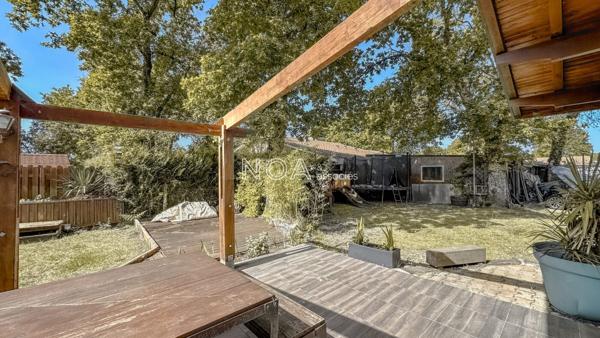 Vaste landaise dans environnement boisé