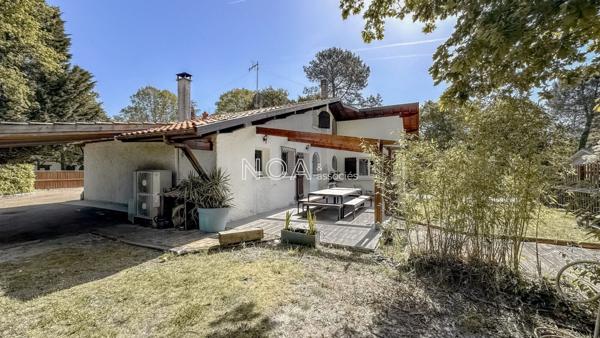 Vaste landaise dans environnement boisé