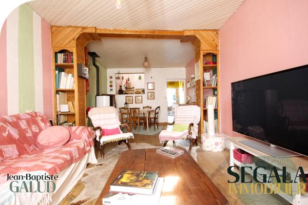 Albi (81000) La Madeleine, Maison de ville avec jardin