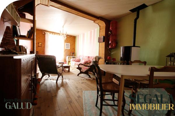 Albi (81000) La Madeleine, Maison de ville avec jardin