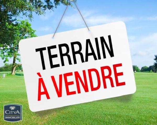 Terrain à vendre Saint-Vérand (38160)