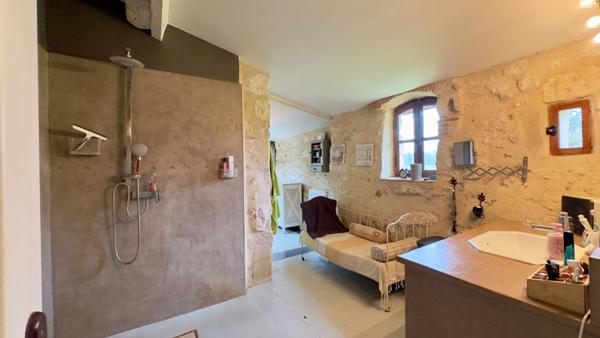 Maison en pierre, charme authentique, calme absolu, 7500 m²