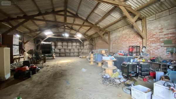 Achat - Immeuble Noordpeene 59670 400 m 2 1866 m 2
