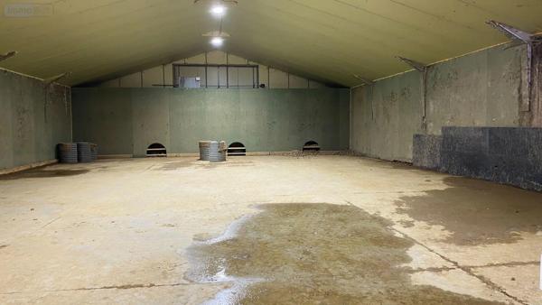Achat - Immeuble Noordpeene 59670 400 m 2 1866 m 2
