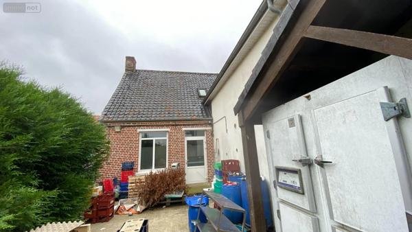 Achat - Immeuble Noordpeene 59670 400 m 2 1866 m 2