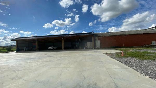 Achat - Immeuble Noordpeene 59670 400 m 2 1866 m 2