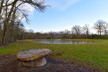 Terrain de loisirs - Bois - Etang à vendre à Mézangers en Mayenne (53600), ref : 53004-1296