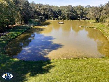 Terrain de loisirs - Bois - Etang à vendre à Mézangers en Mayenne (53600), ref : 53004-1296