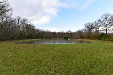 Terrain de loisirs - Bois - Etang à vendre à Mézangers en Mayenne (53600), ref : 53004-1296