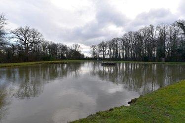 Terrain de loisirs - Bois - Etang à vendre à Mézangers en Mayenne (53600), ref : 53004-1296