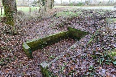 Terrain de loisirs - Bois - Etang à vendre à Mézangers en Mayenne (53600), ref : 53004-1296