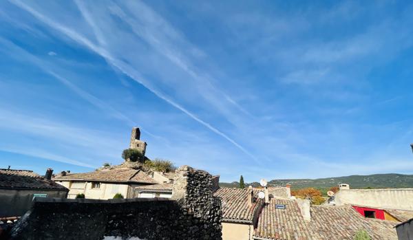 Maison de village avec Chambre d'hote et commerce - Lourmarin - Réf. 289