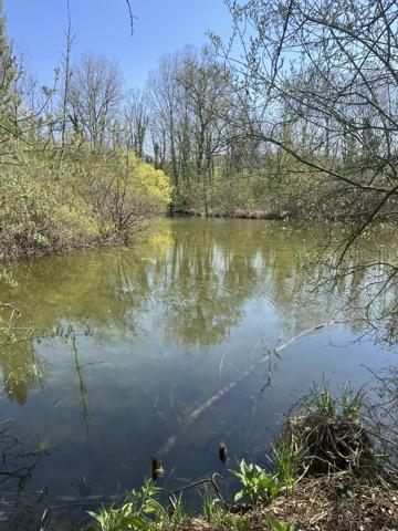 Terrain à MOREUIL (80110)