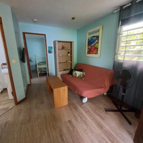Maison 13 pièces ou gites capacité 26 personnes à vendre SAINTE ANNE (971)? piscine, jardin tropical