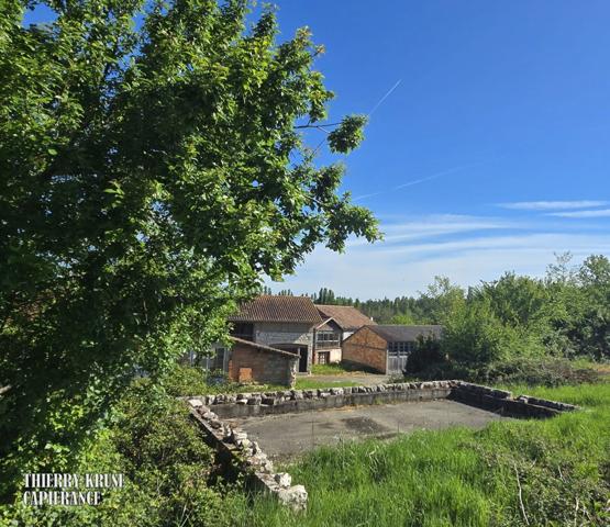 Propriété à fort potentiel – Hangars & bâtiments – 450 m² exploitables sur 15 000 m² de terrain aménageable – Changement de destination possible