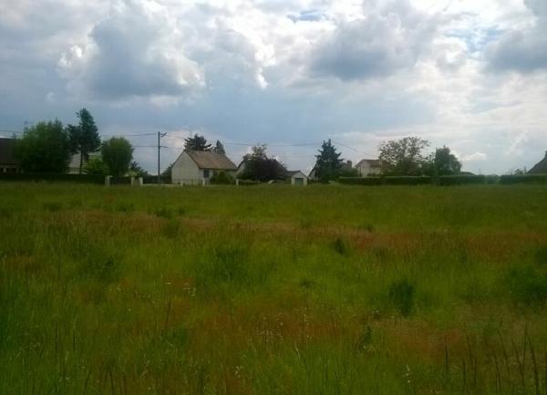 Terrain à vendre    Muides-sur-Loire