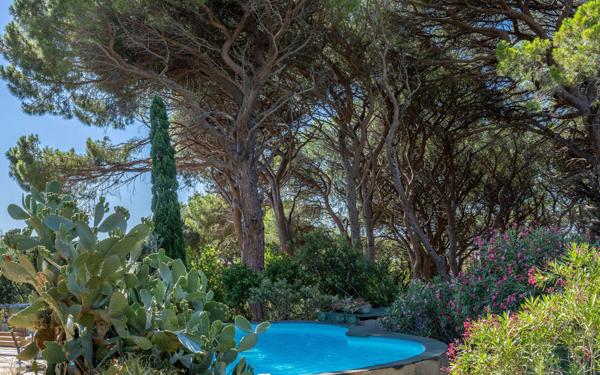 Maison à vendre    5 pièces • 143 m2 Brando