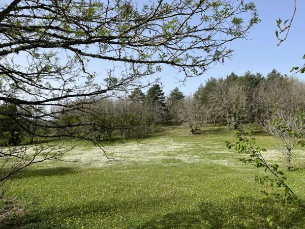 Maison ancienne - Martel Entre Martel, Brive la Gaillarde et Souillac, très belle propriété sur plus de deux hectares de terrain. Situation calme mais non isolée.