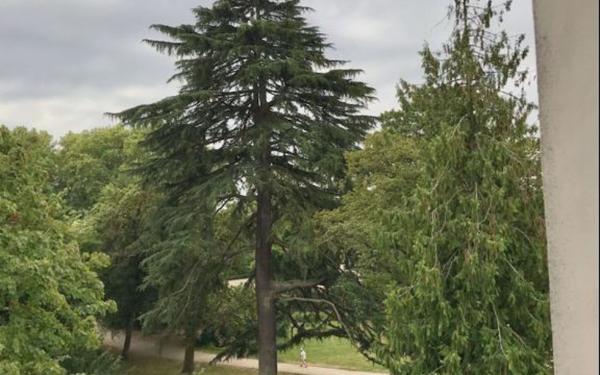 Appartement à louer    2 pièces • 34 m2 Tours