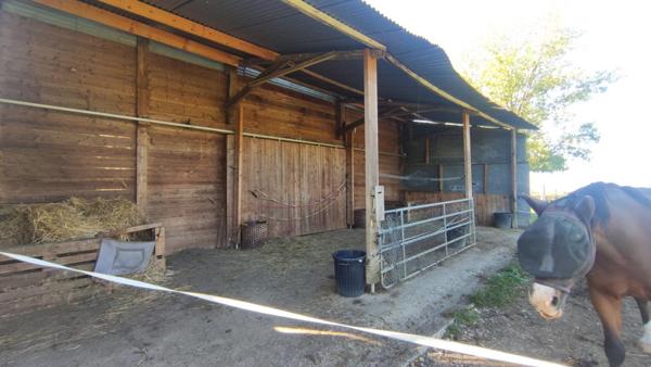 Propriété avec dépendances sur 4 hectares