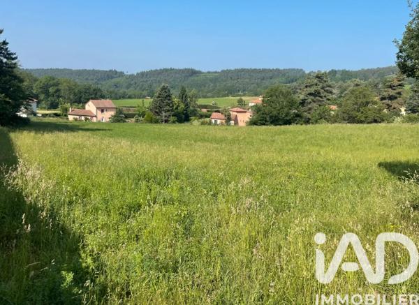 Terrain à vendre 866 m² Chaspinhac