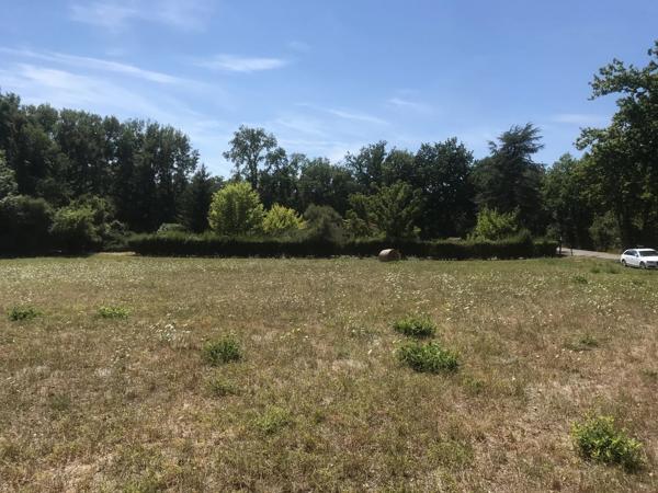 Terrain de 6360 m² avec vue