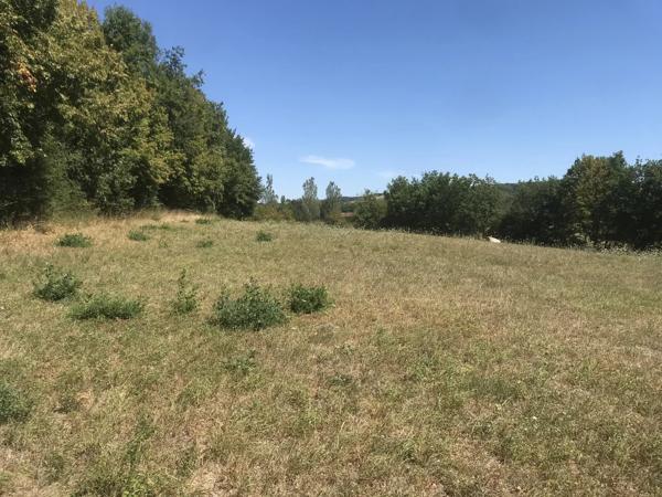 Terrain de 6360 m² avec vue