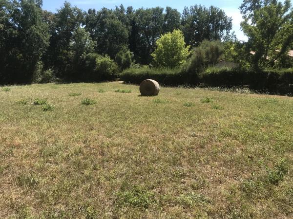 Terrain de 6360 m² avec vue