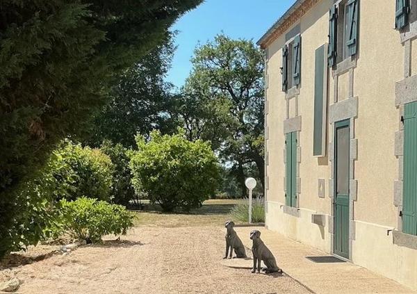 Superbe logement de 2 chambres avec une grande grange et un gîte indépendant à rénover