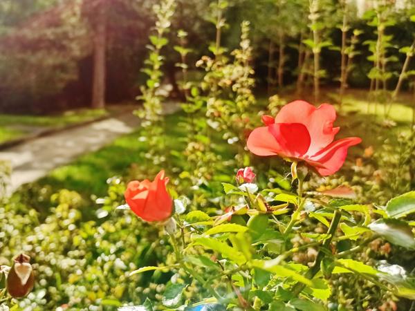 Appartement 2 pièces - 43 m²